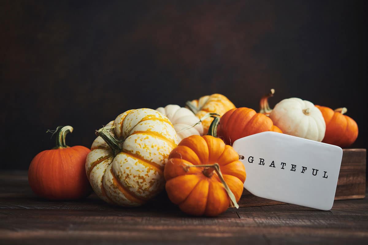 A Heartfelt Thanksgiving Message From Perry Endodontics Blog